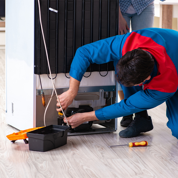 what are the common refrigerator repair services in Madrid